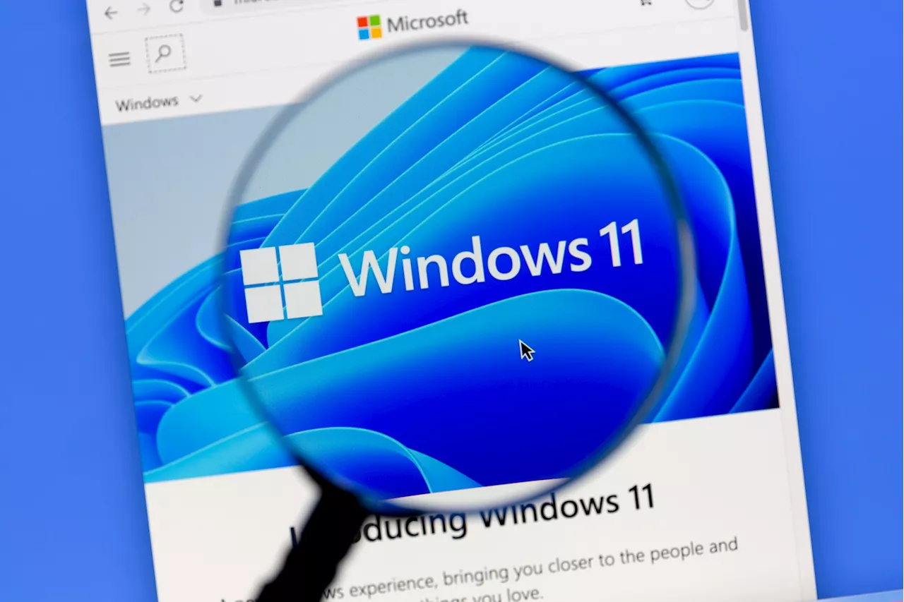 Tiny11: Windows 11 fonctionne avec moins de 200 Mo de RAM