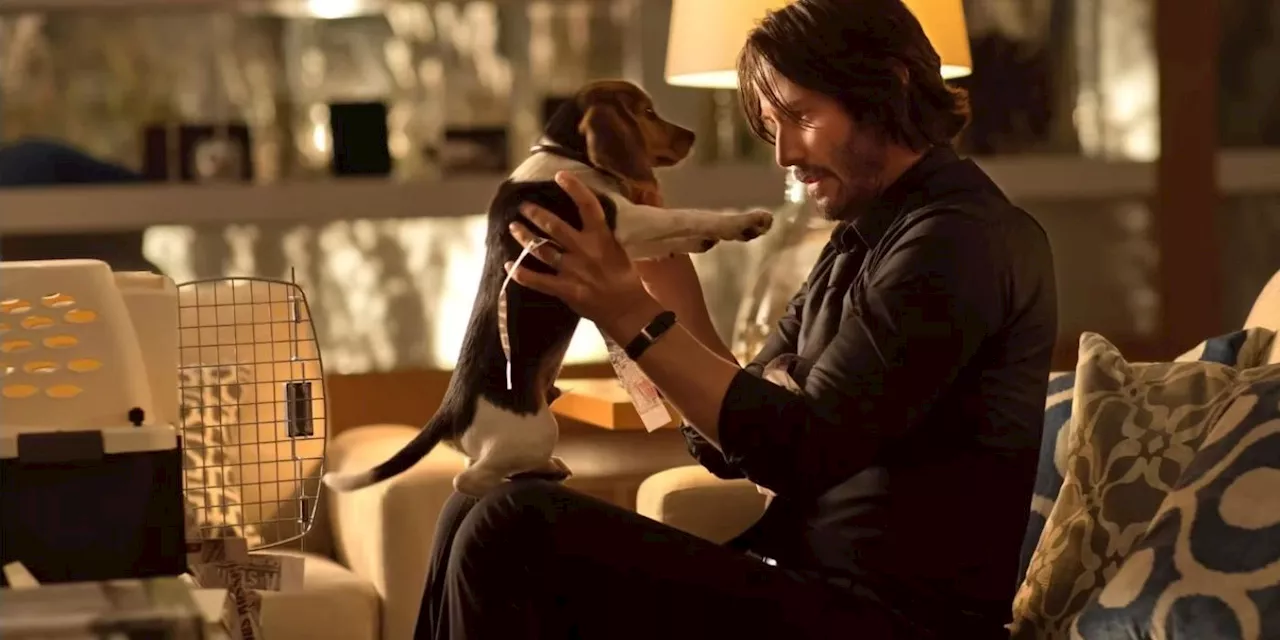 John Wick Films Land on Hulu, Expanding Fandom