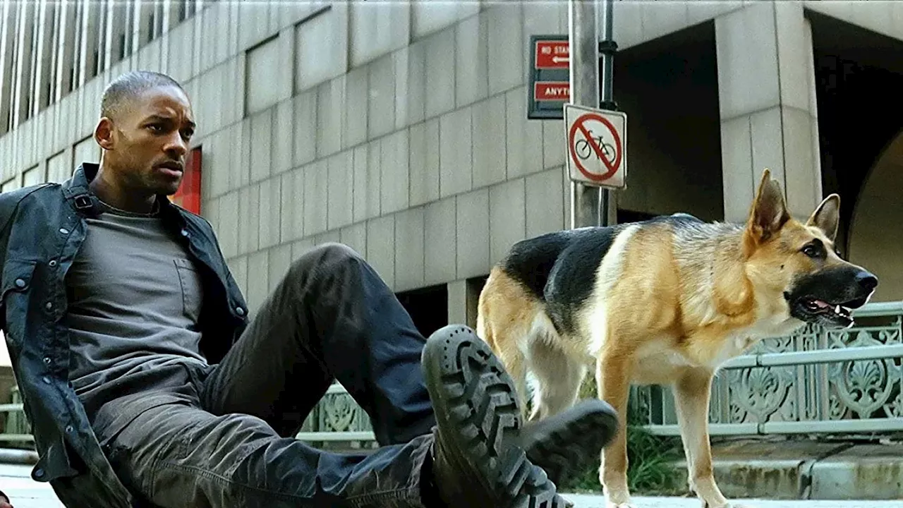 I Am Legend Movie Ending vs. Book: A Missed Opportunity