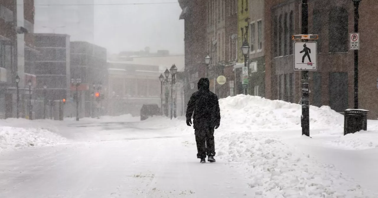 Winter Storm Batters Newfoundland and Labrador