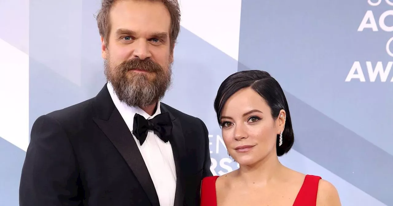 Lily Allen Discovers David Harbour's Raya Profile Amidst Infidelity Rumors