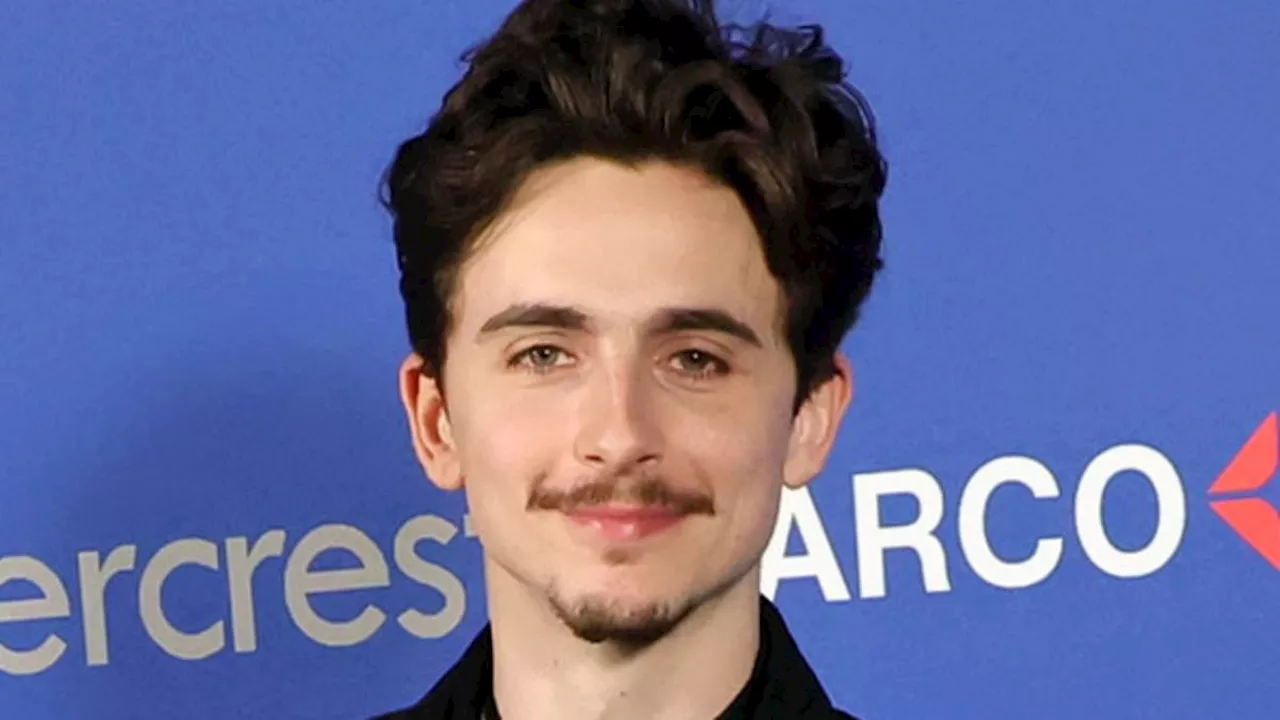 Timothée Chalamet Avoids Kylie Jenner Question at Palm Springs Film Awards