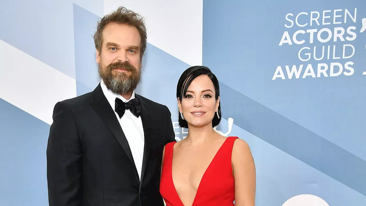 Lily Allen Discovers David Harbour's Secret Raya Profile