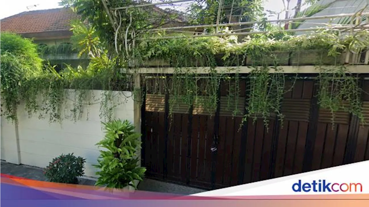 Rumah Jokowi di Solo: Asri, Rindang, dan Ramai Tanaman