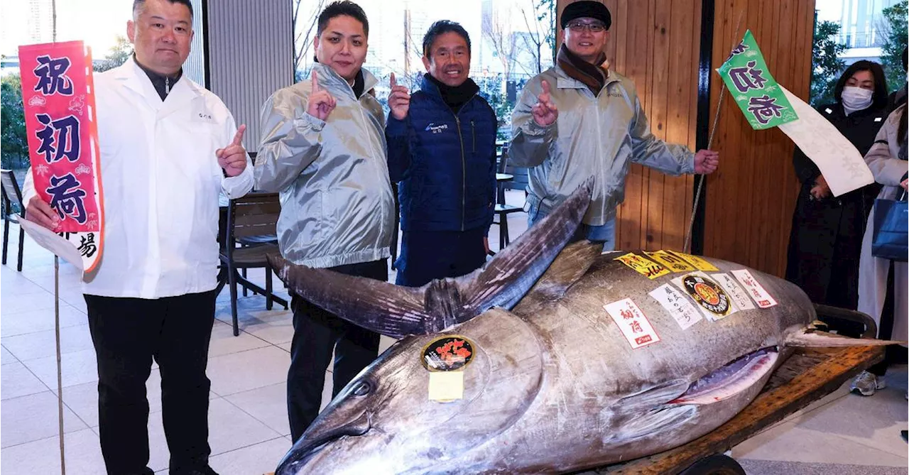 1,28 Millionen Euro für Thunfisch bei Neujahrsauktion in Tokio