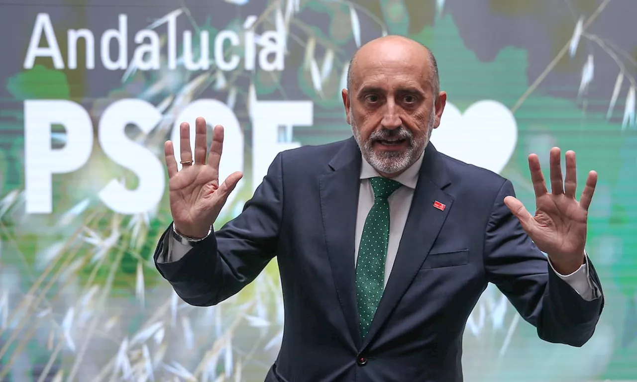 El catedrático sevillano Luis Ángel Hierro anuncia su candidatura a la secretaría general del PSOE andaluz