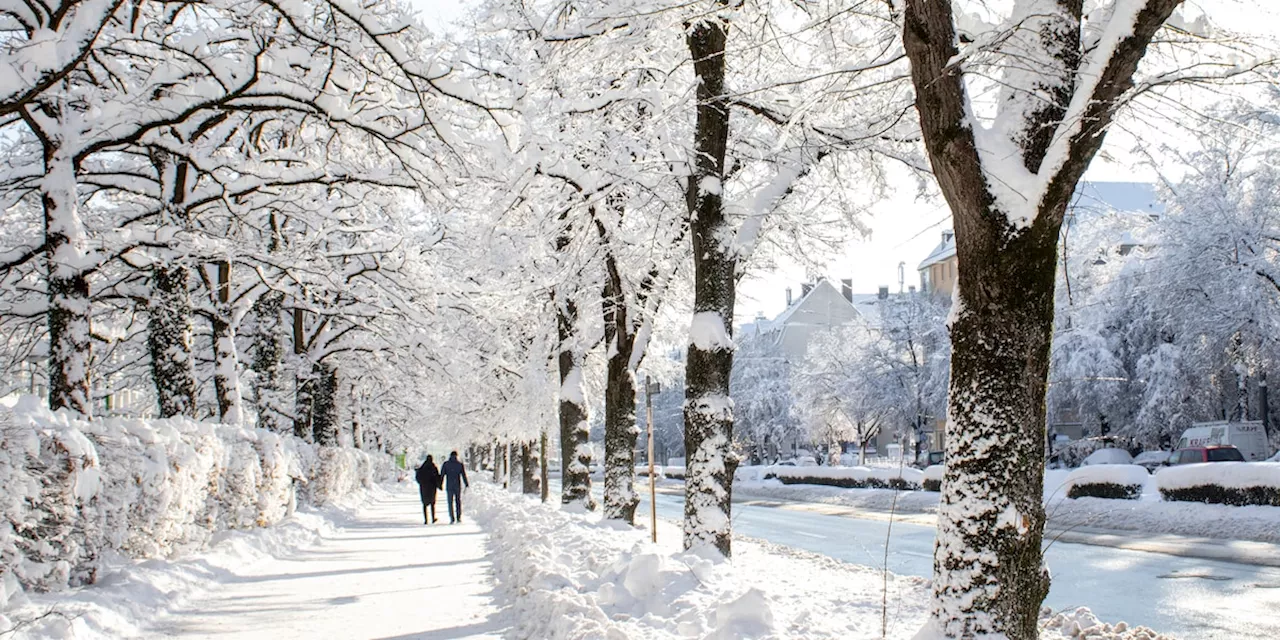 Schneesturm in den USA: 60 Millionen Menschen im Zentrum und Osten betroffen