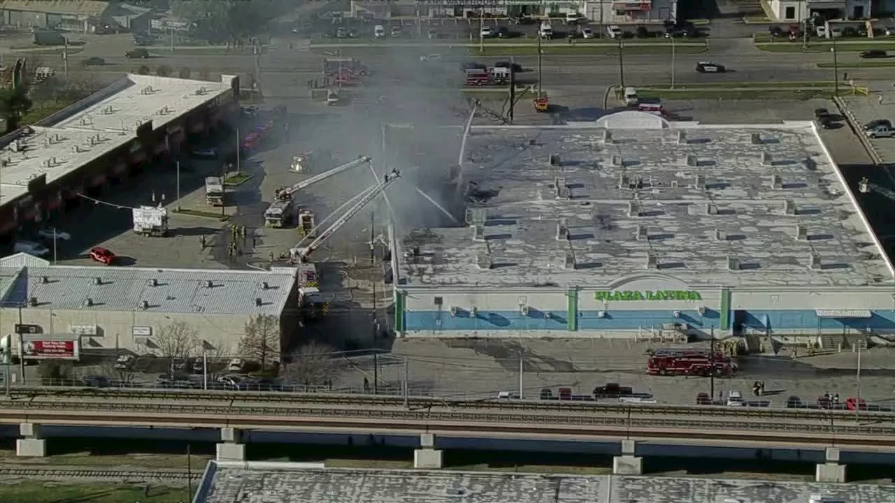 Over 500 Animals Killed in Dallas Shopping Center Fire