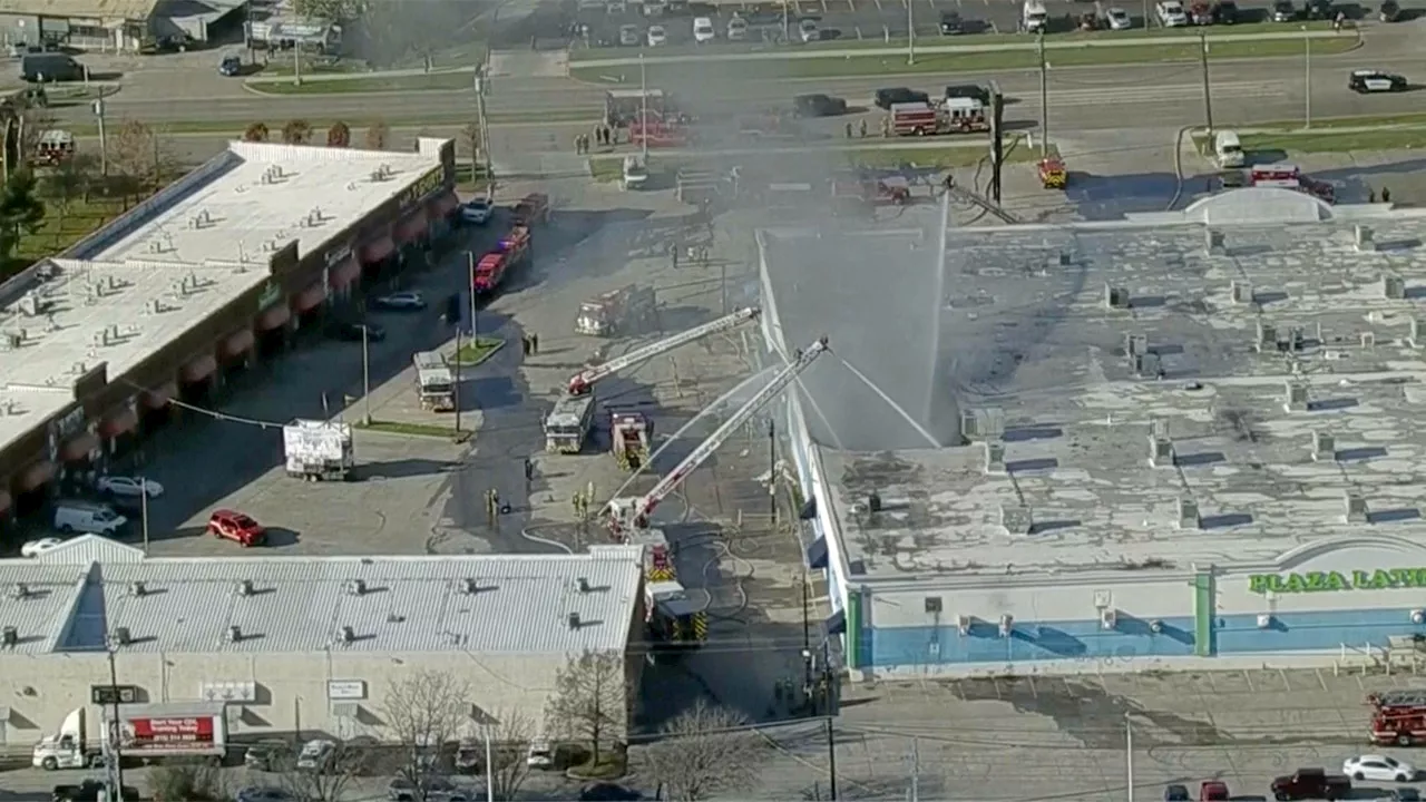 Hundreds of Animals Die in Dallas Shopping Center Fire