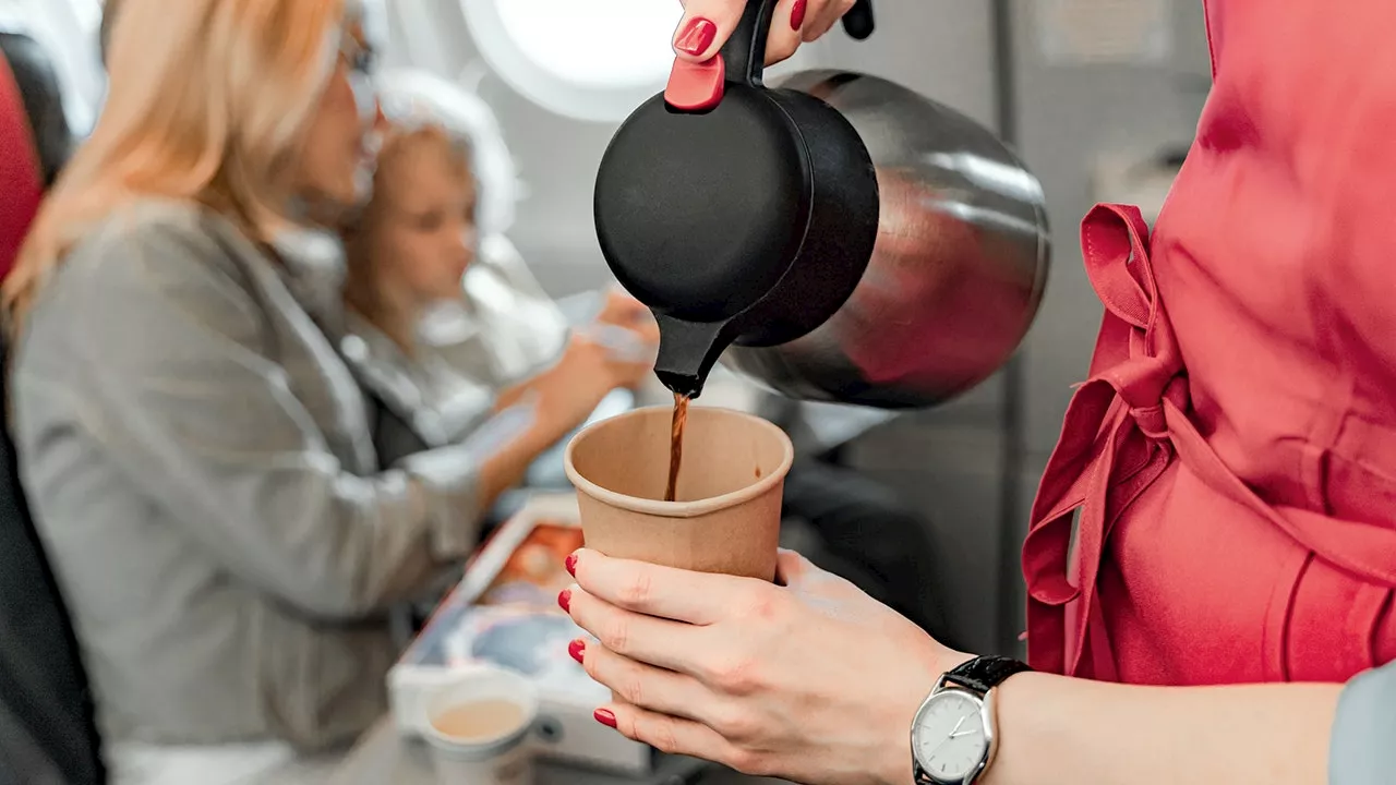 Why Airplane Food Tastes Different and Your Cravings Change Mid-Flight