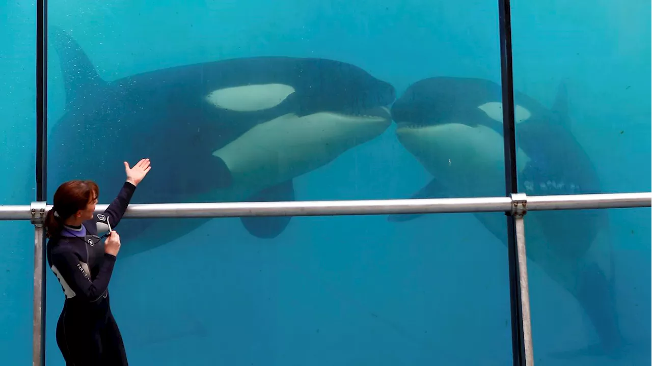 Marineland d'Antibes Ferme ses Portes