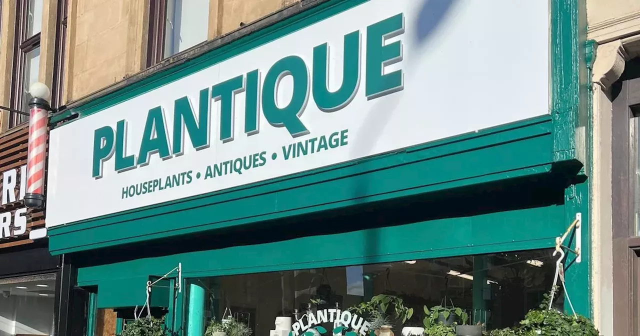 Glasgow Plant Shop Owner Seeks Funding After Shoplifting Losses