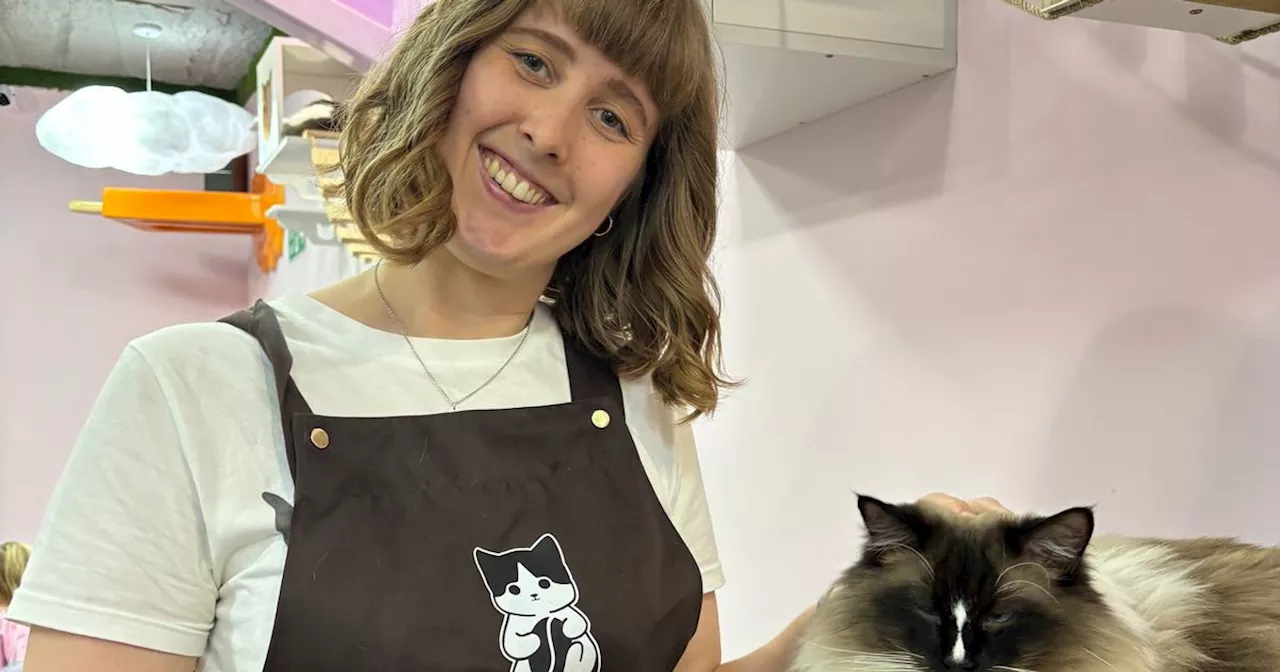 Meow Cat Cafe: A Feline Paradise in Glasgow