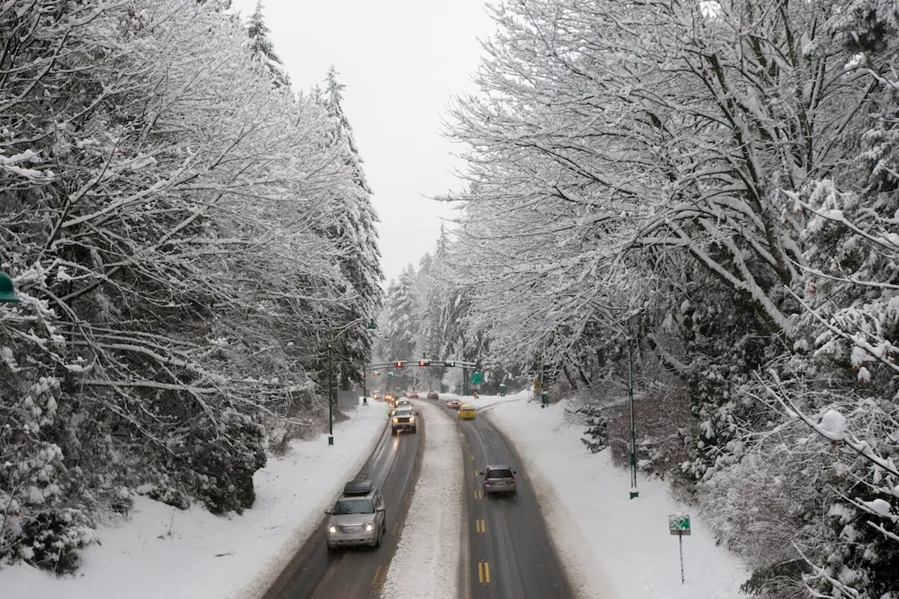 Hazard Lights While Driving: Legal in Ontario But Distracting, Police Say