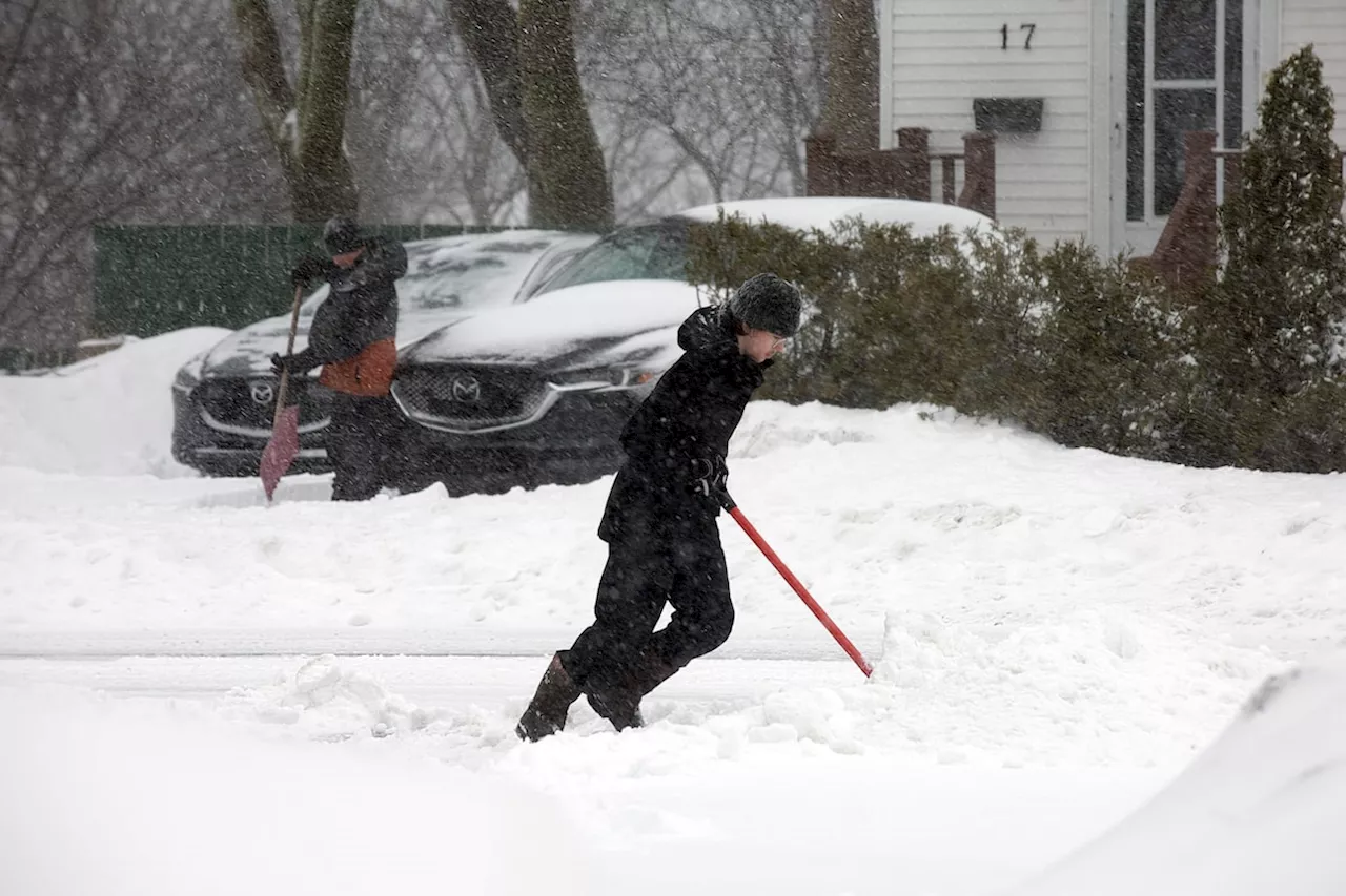 Winter Storm Leaves Thousands in Newfoundland Without Power