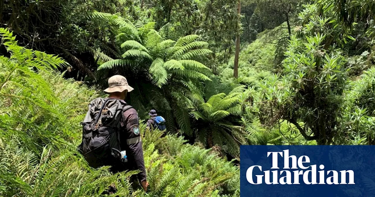 Intensified Search for Missing Bushwalker Hadi Nazari