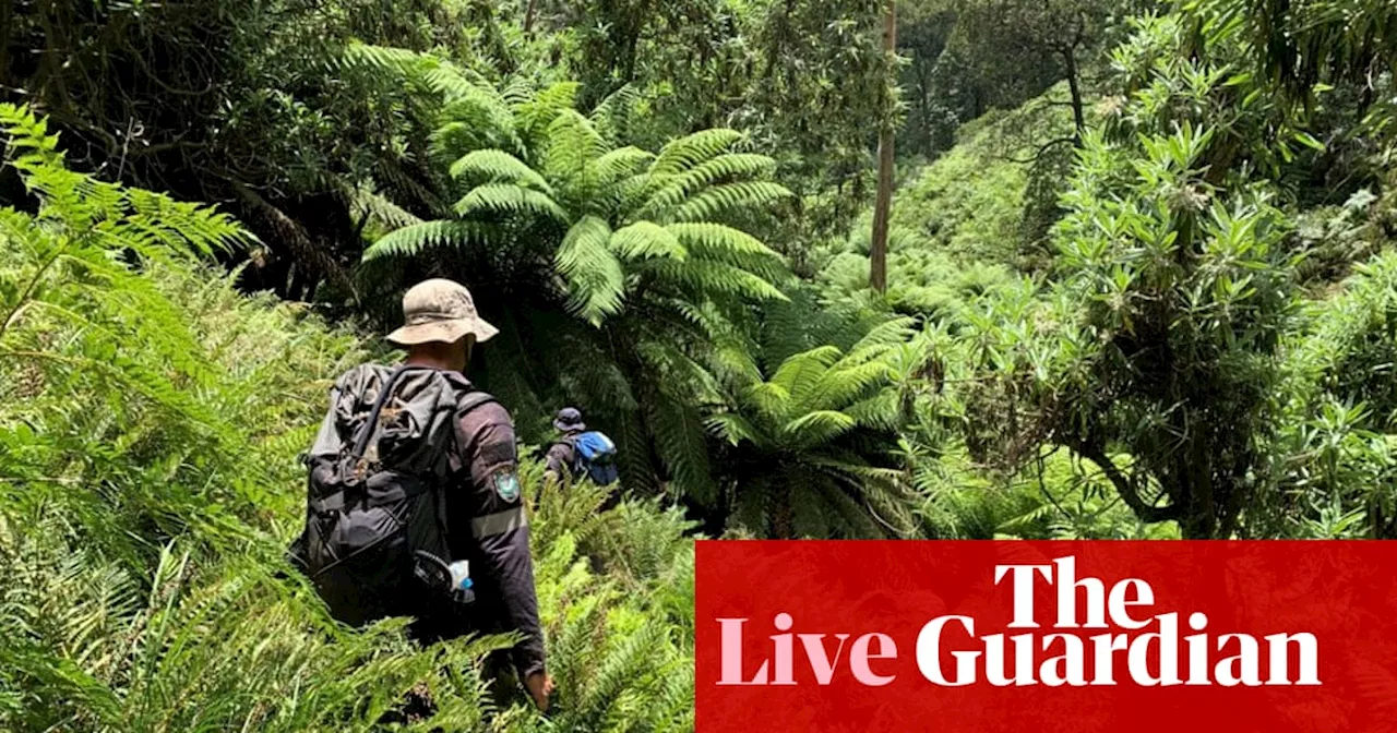 Search Resumes for Missing Bushwalker in Kosciuszko National Park