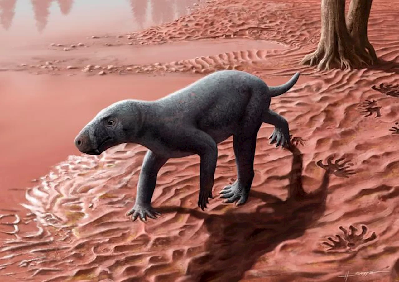 Ancient Fossil Suggests Mammals Evolved Earlier Than Thought