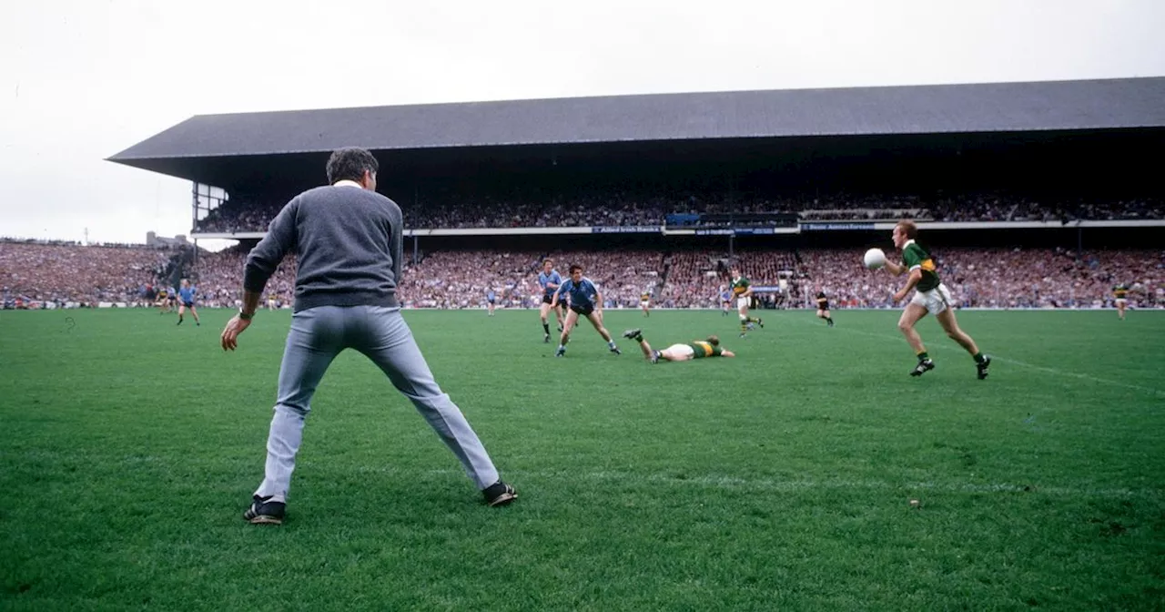 Mick O'Dwyer's Moment of Quiet Triumph