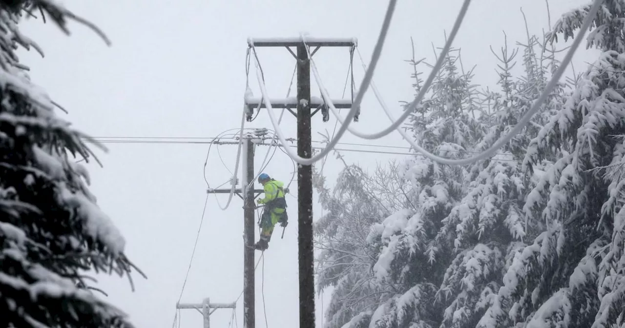 Ireland Braces for Continued Cold Spell with Widespread Power Outages and School Closures