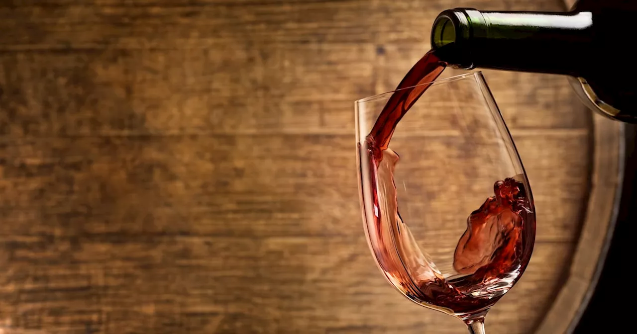 The Longevity of Wine: From Ancient Times to Centuries-Old Bottles