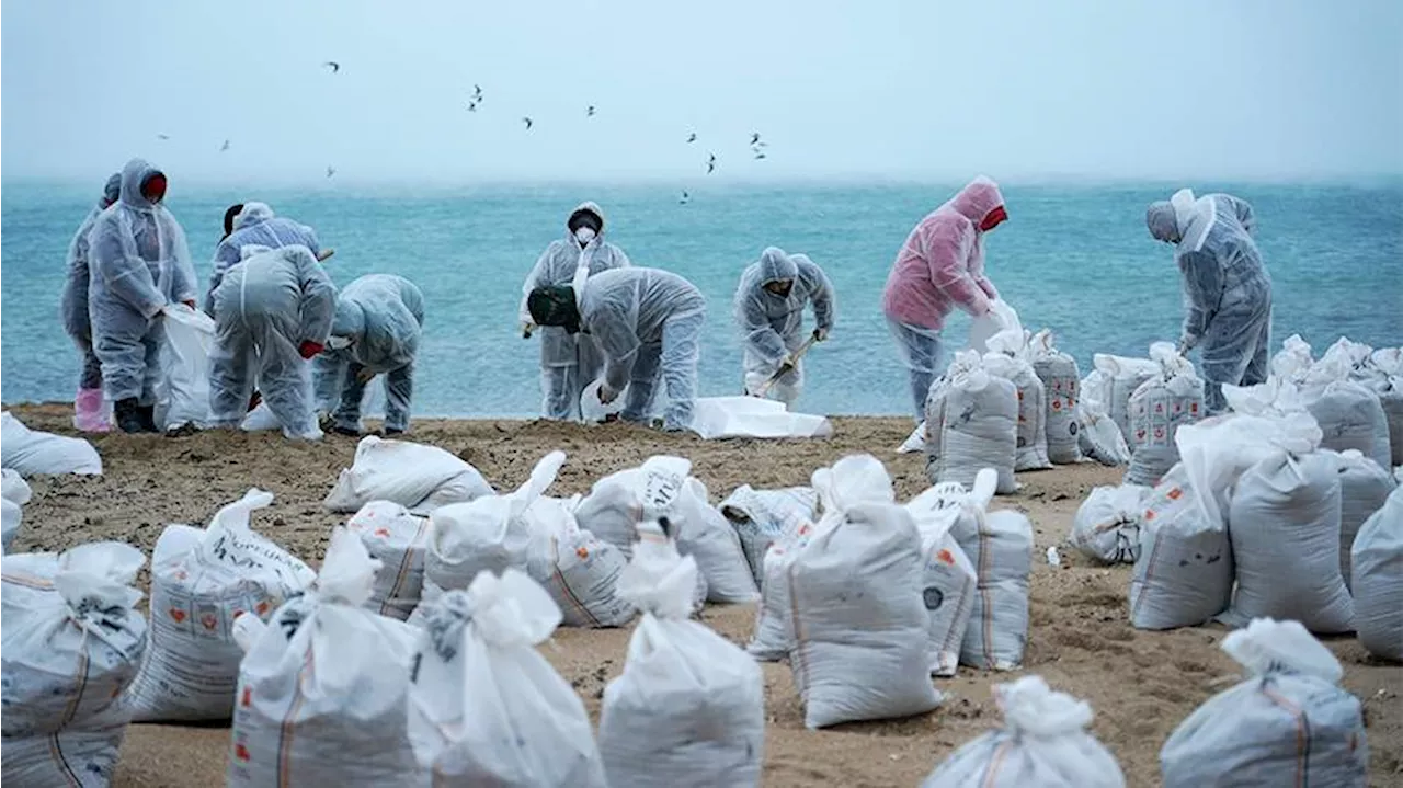 Разлив мазута в Черном море: спасатели ликвидируют последствия крушения танкеров