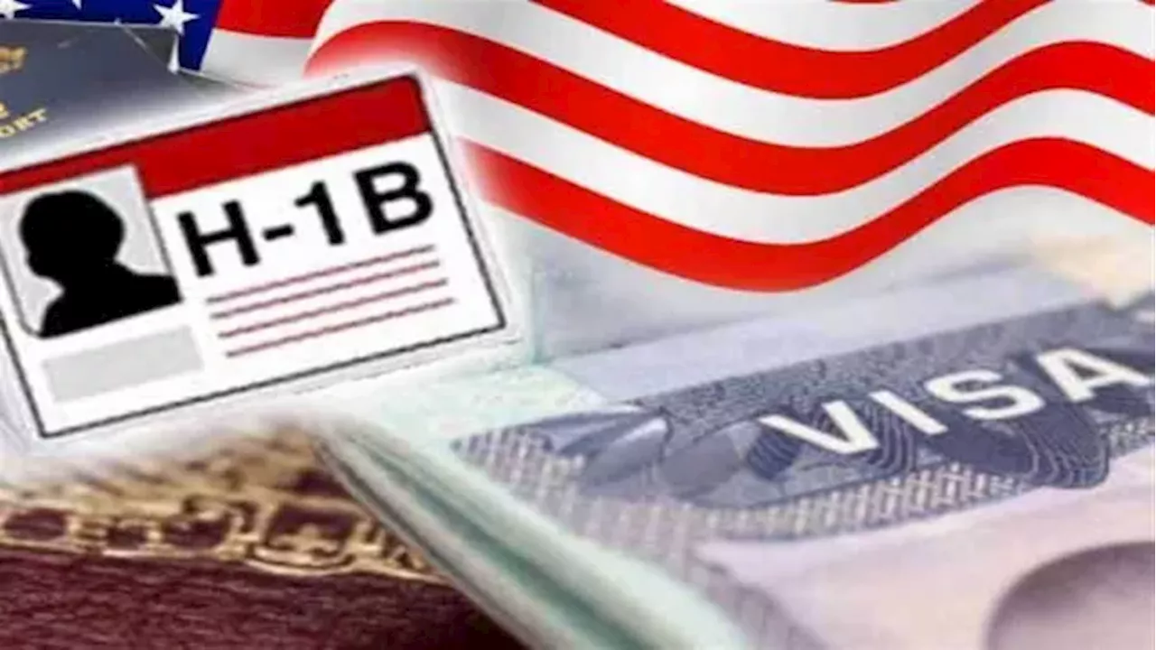 H-1B Visa पर भारतीय टेक कंपनियों का दबदबा, आंकड़े देख चौंक जाएंगे आप