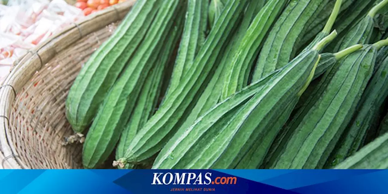 Kandungan Nutrisi dan Manfaat Gambas