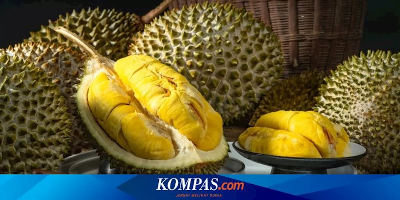 Manfaat Durian untuk Kesehatan, Baik untuk Jantung