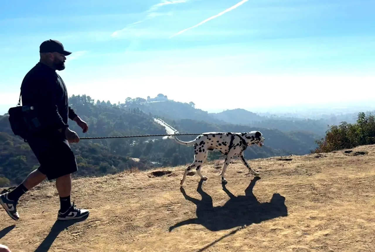 Hiking Mount Hollywood on a Sunny New Year's Day