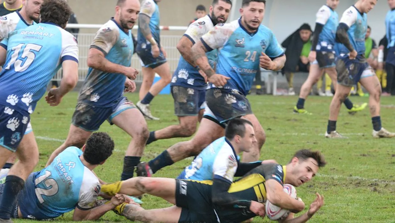 Carcassonne s'impose face à un Saint-Gaudens diminué