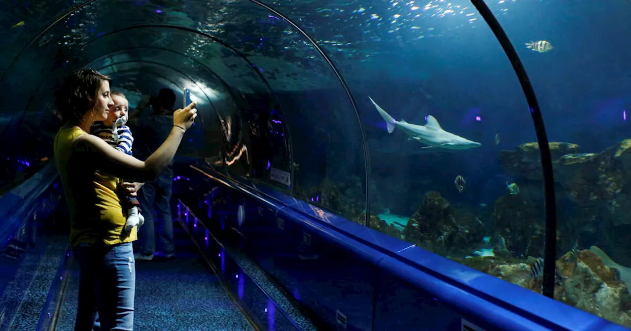 Marineland ferme ses portes, laissant place à l'incertitude pour les animaux