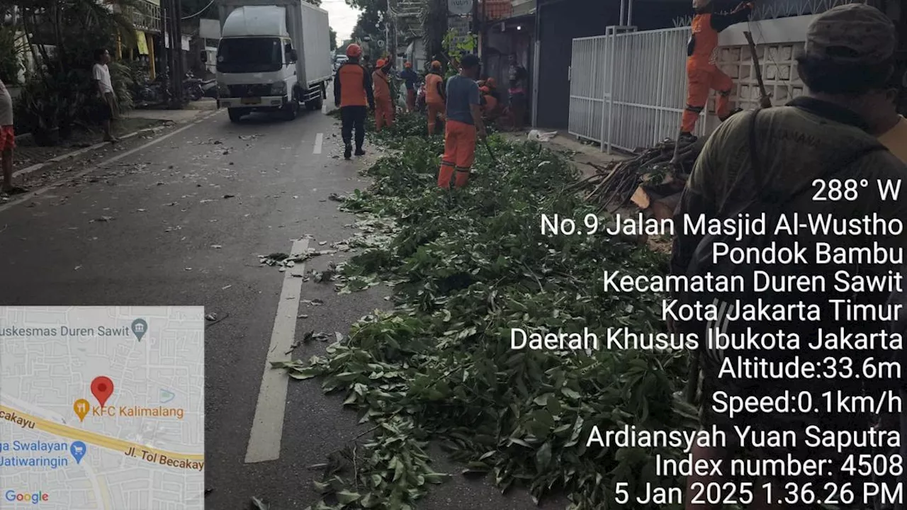 Pohon Tumbang di Jaktim Imbas Angin Kencang