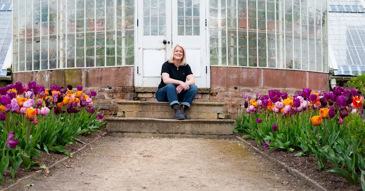 Woman Ditches Corporate Job for Minimum Wage Garden Centre Role and Wins Gold Medal