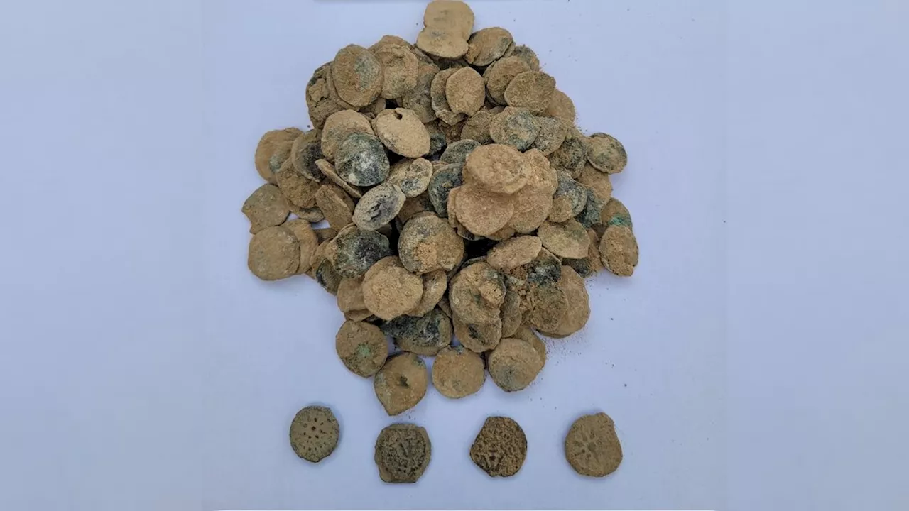 2,100-Year-Old Coin Hoard Unearthed in Jordan Valley