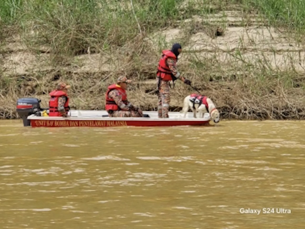 Two Tracker Dogs Join Search for Drowned Boy in Pahang