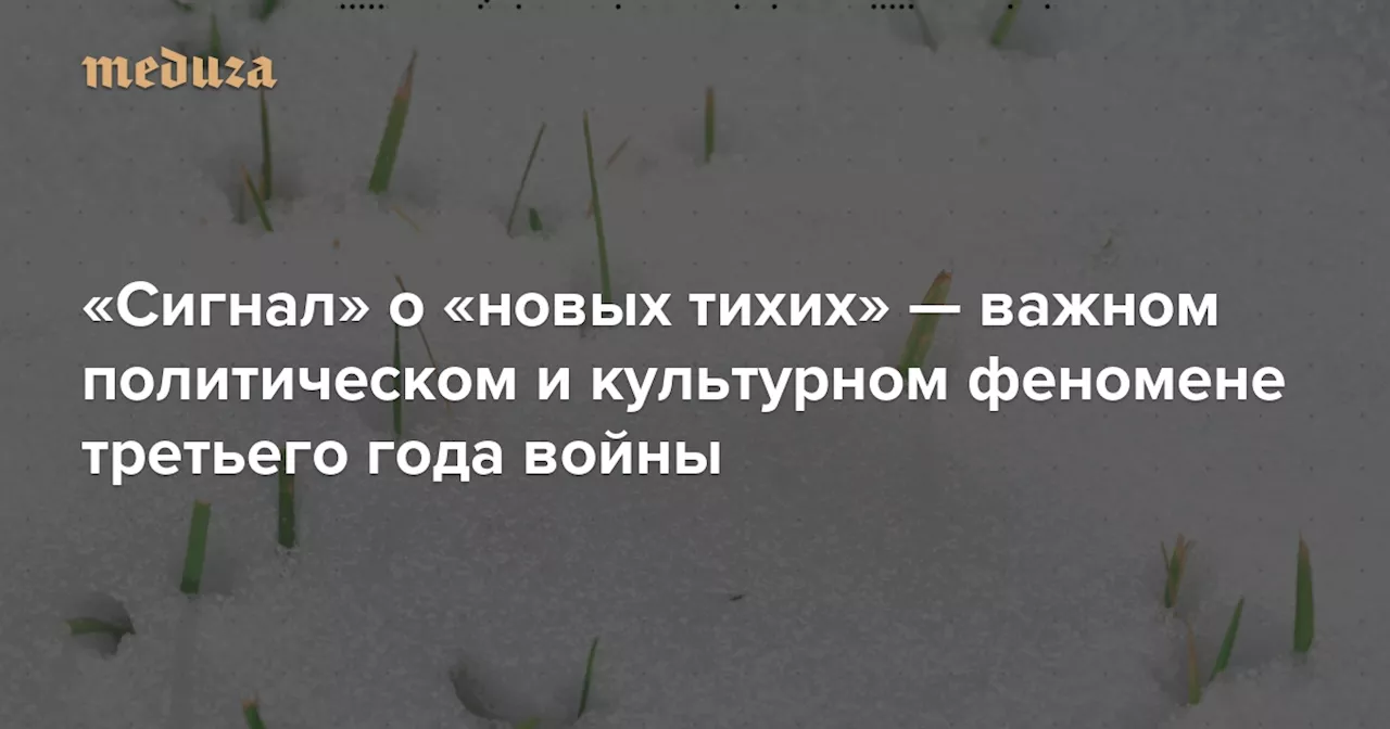 На третий год войны «новые тихие» стали в России важным политическим и культурным феноменом. Кто они, чего хотят и что могут?