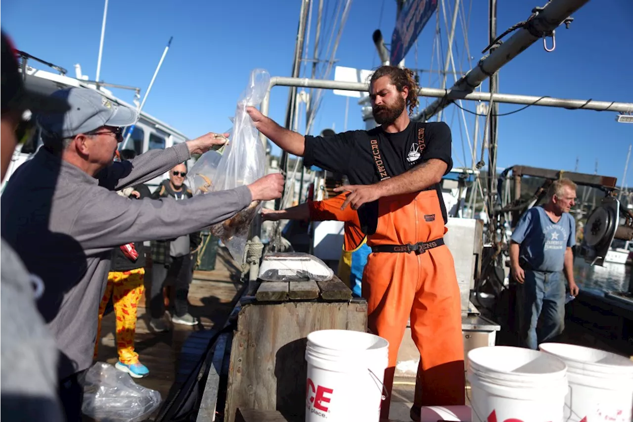 California's Dungeness Crab Season Finally Opens After Months of Delay