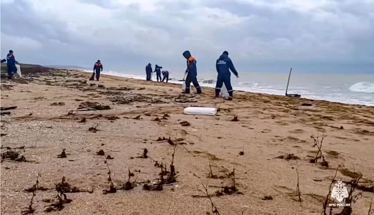 Rescuers Clean Up Fuel Spill in Kerch Strait as Dolphin Deaths Mount