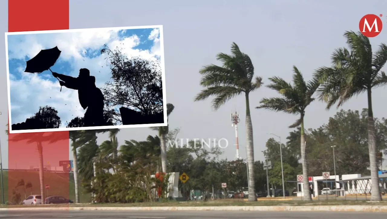 Prevén temperaturas cálidas y vientos de hasta 60km/h para este domingo 5 de enero en Tamaulipas