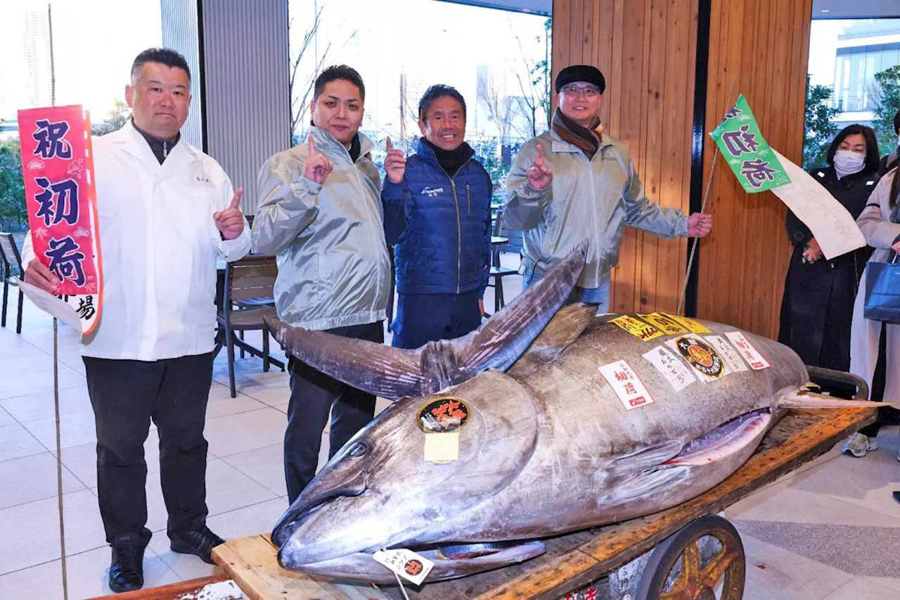 1.3 Million USD Bluefin Tuna Auctioned in Tokyo