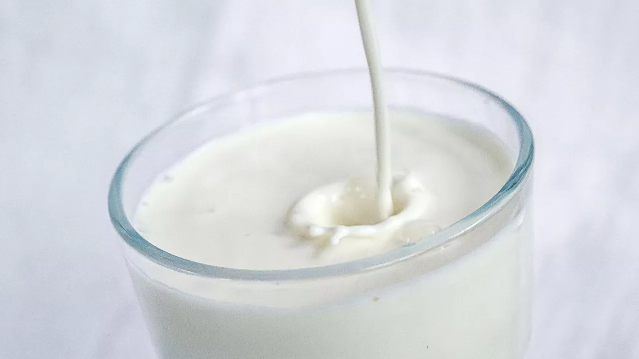 Milch hat ein Image-Problem: Ist Kuhmilch wirklich schlecht?