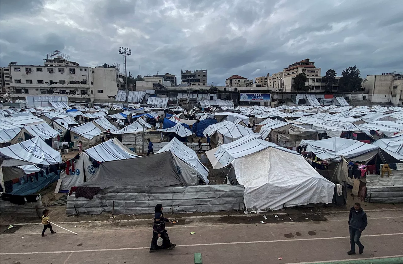 Unterkühlung in Gaza: Sieben Säuglinge gestorben