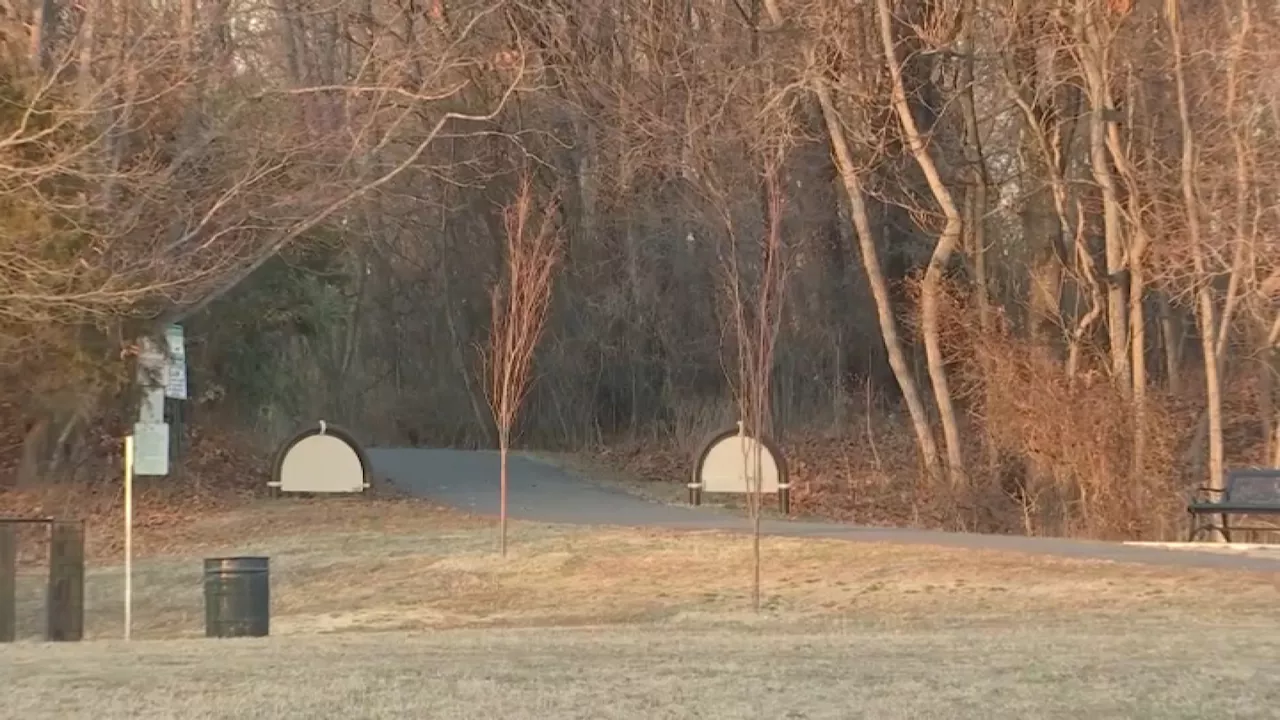 Woman, Dogs Rescued After Falling Through Ice at Dog Park