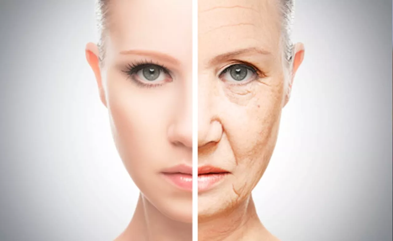 Anti Aging Foods: ज़्यादा उम्र में भी जवां दिखने के लिए ये फूड्स हैं आपके लिए