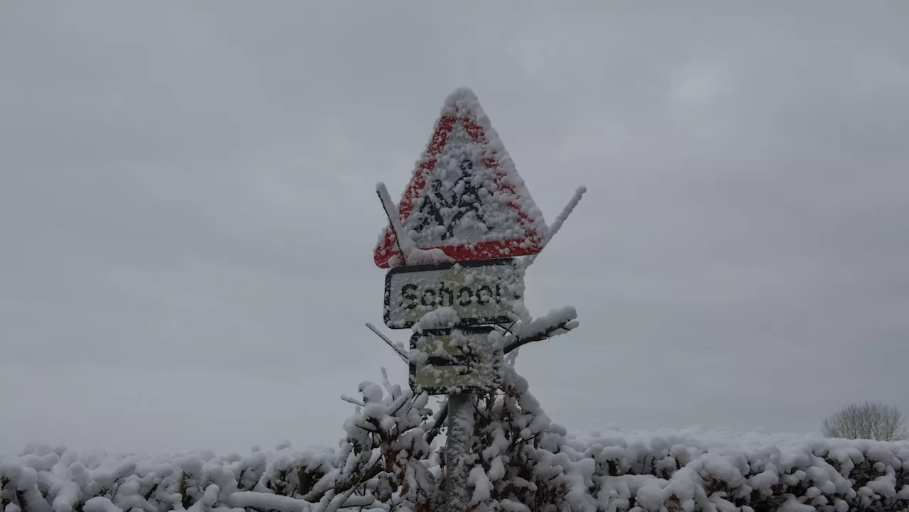 Snow Day Rights: Can You Take Time Off Work If Your Child's School Is Closed?