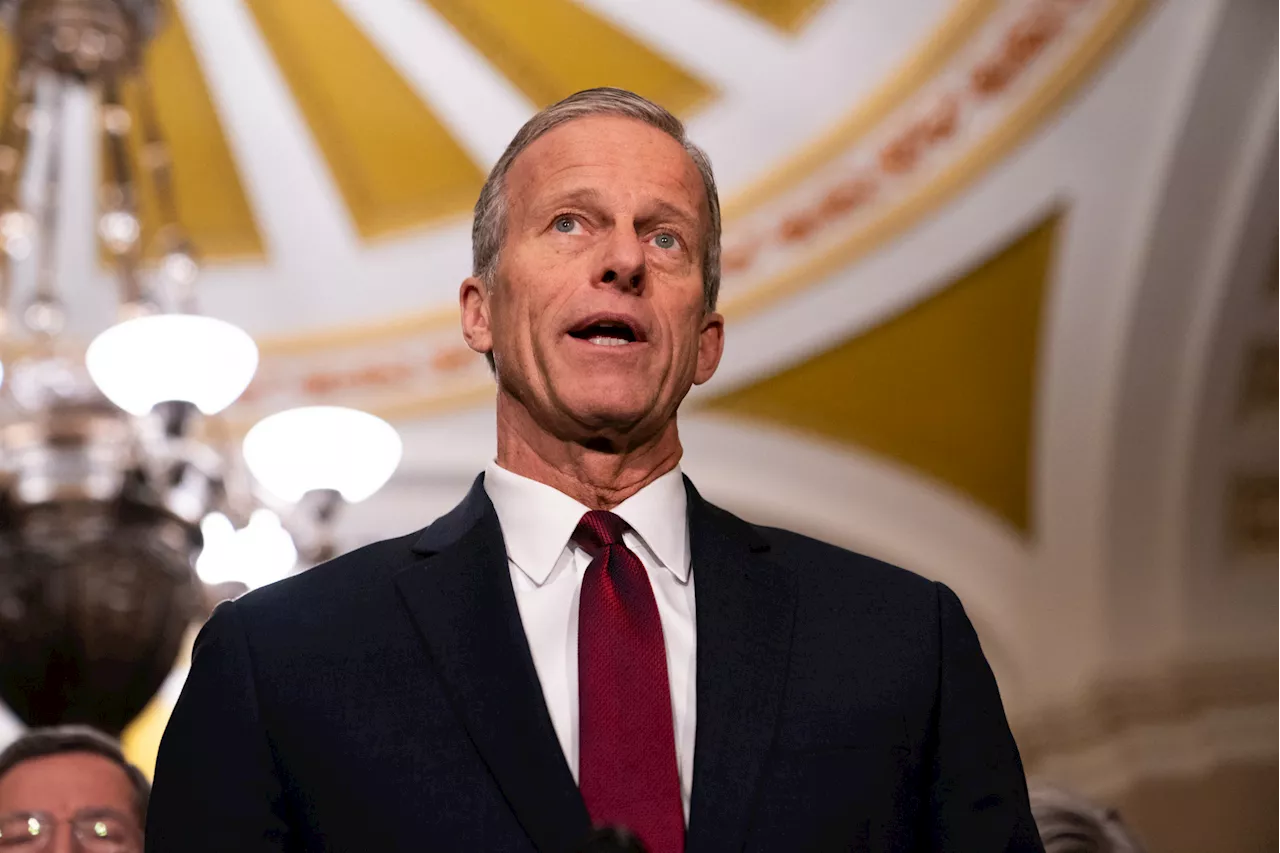 Thune Hints at Quick Cabinet Approvals, Uncertainty Remains for Trump's Picks