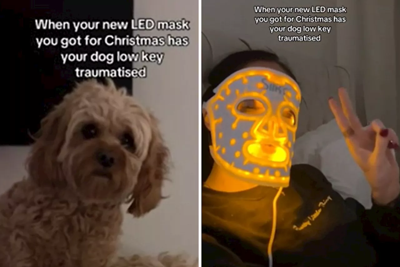 Woman's LED Face Mask Freaks Out Her Dog