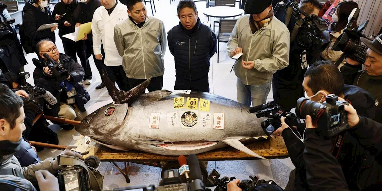 Rekordpreis für Thunfisch bei Neujahrsauktion in Tokio