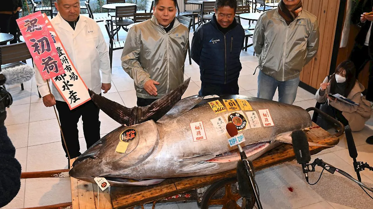 Japanische Neujahrs-Auktion: Blauflossen-Thunfisch für 1,3 Millionen Euro verkauft